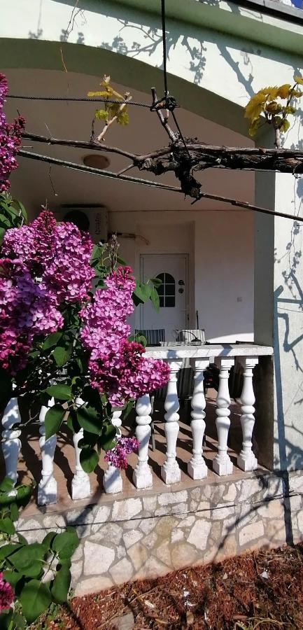 Olivera Apartments Pula Bagian luar foto